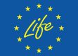 life_1 (2)